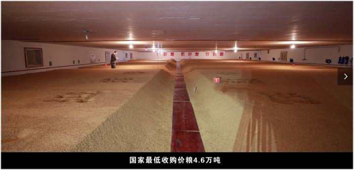 首页- 人生就是博中国官方网站